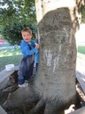 IMG_0145.JPG