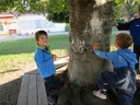 IMG_0146.JPG