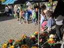 IMG_0326.JPG