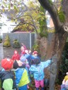 IMG_0682.JPG