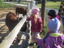 IMG_1447.JPG