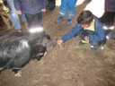 IMG_1465.JPG