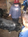 IMG_1466.JPG