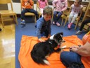 IMG_1723.JPG