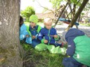 IMG_1990.JPG