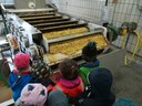 IMG_20181003_104939.jpg