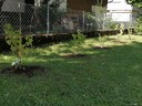 IMG_20220623_102928.jpg