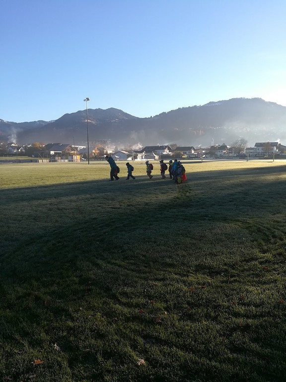 IMG_20231123_085943.jpg
