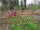 IMG_20240403_093202.jpg