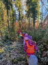 IMG_20241129_094729.jpg