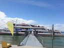 IMG_2410.JPG