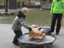 IMG_2536.JPG