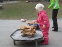 IMG_2537.JPG