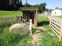 IMG_2542.JPG