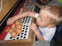 IMG_2741.JPG