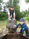 IMG_2869.JPG