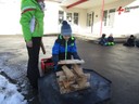 IMG_3584.JPG