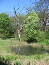 IMG_3791.JPG