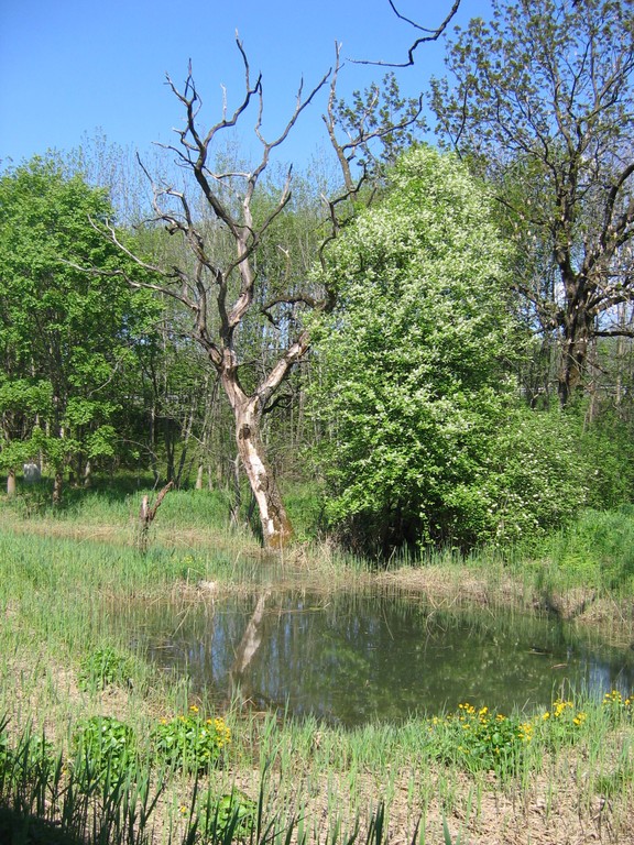 IMG_3791.JPG