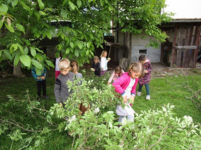 IMG_3808.JPG