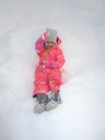 IMG_4626.JPG
