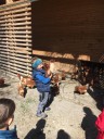 IMG_4698.JPG