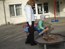IMG_4982.JPG