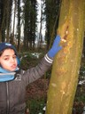 IMG_5419.JPG