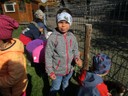 IMG_5446.JPG