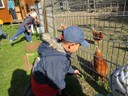 IMG_5472.JPG