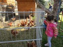 IMG_5486.JPG