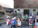 IMG_5733.JPG