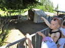IMG_5743.JPG