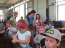 IMG_5971.JPG