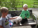 IMG_6233.JPG
