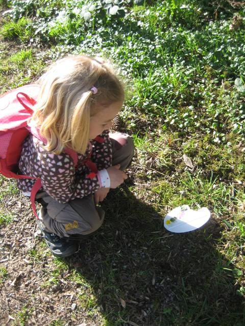 IMG_6908.JPG