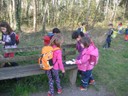 IMG_6911.JPG