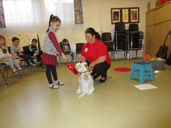 IMG_7812.JPG