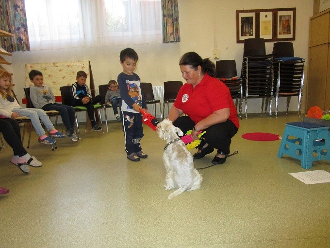 IMG_7816.JPG