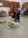 IMG_7938.JPG