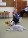 IMG_7945.JPG
