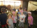 IMG_8110.JPG
