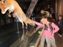 IMG_8179.JPG
