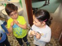 IMG_8331.JPG