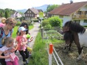IMG_8497.JPG