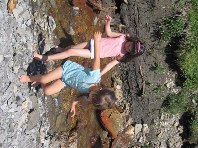 IMG_8684.JPG