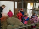IMG_9105.JPG
