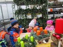 IMG_9370.JPG