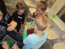IMG_9961.JPG