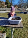 Jänner (2).jpg